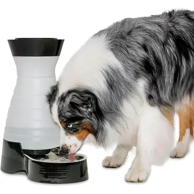 PetSafe Healthy Pet Gravity Food or Water Station