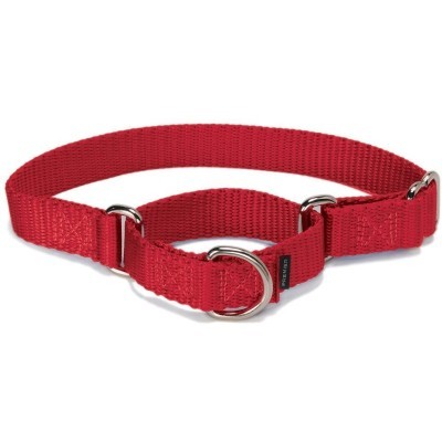 PetSafe Martingale Dog Collar