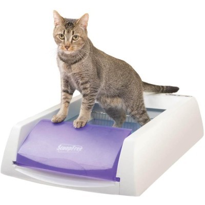 PetSafe ScoopFree Automatic Self-Cleaning Cat Litter Box