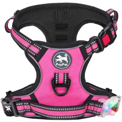 PoyPet No Pull Dog Harness