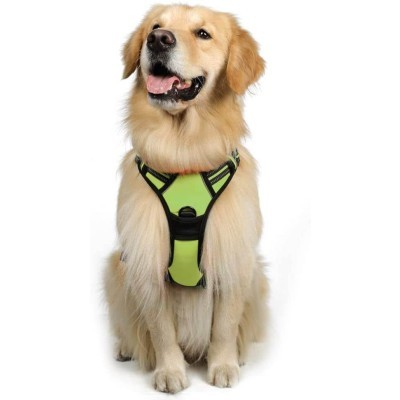 Rabbitgoo Dog Harness