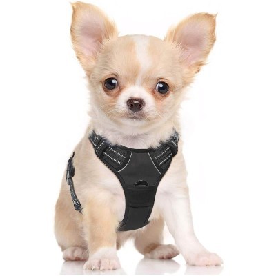 Rabbitgoo Dog Harness