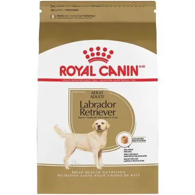 Royal Canin Breed Health Nutrition Labrador Retriever