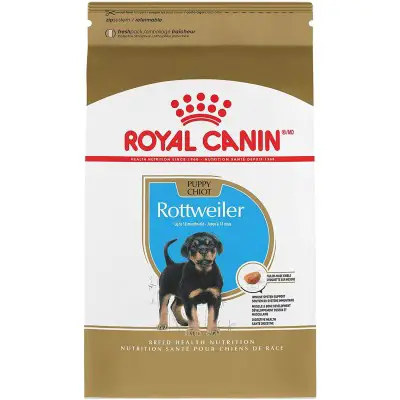 Royal Canin Breed Health Nutrition Rottweiler