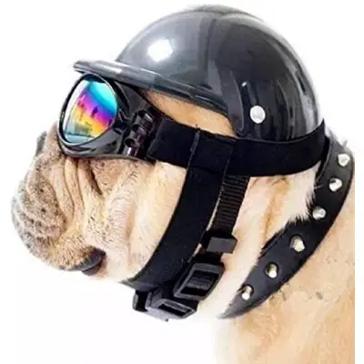 ShopTrend Dog Helmet with Goggles