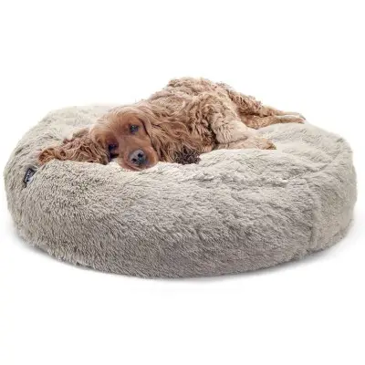 SPORT PET Designs Waterproof Dog Bed
