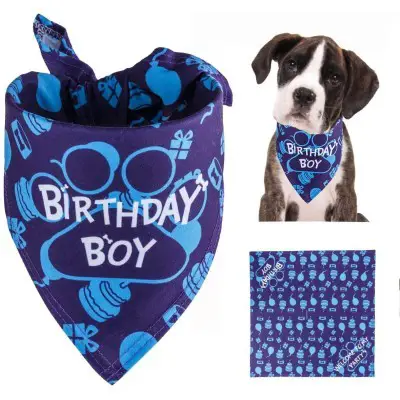 TCBOYING Dog Birthday Bandana