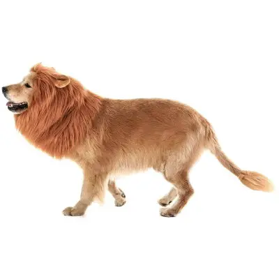 TOMSENN Dog Lion Mane