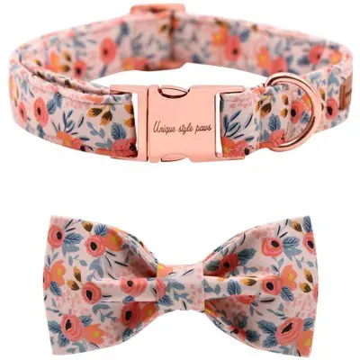 Unique style paws Bow tie Dog Collar