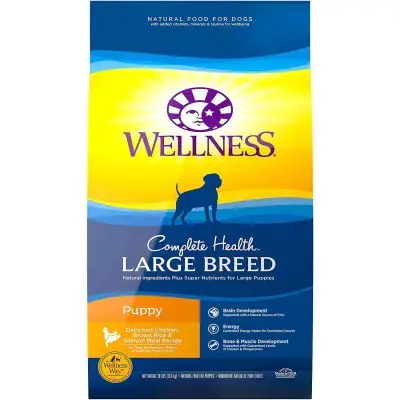 Wellness Large Breed Complete Health Puppy