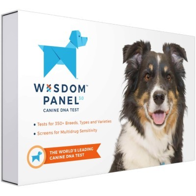 Wisdom Panel 3.0 Breed Identification Dog DNA Test Kit