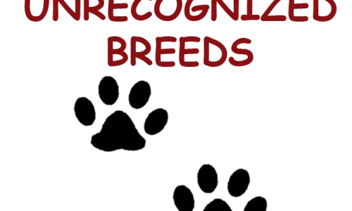 Unrecognized breeds