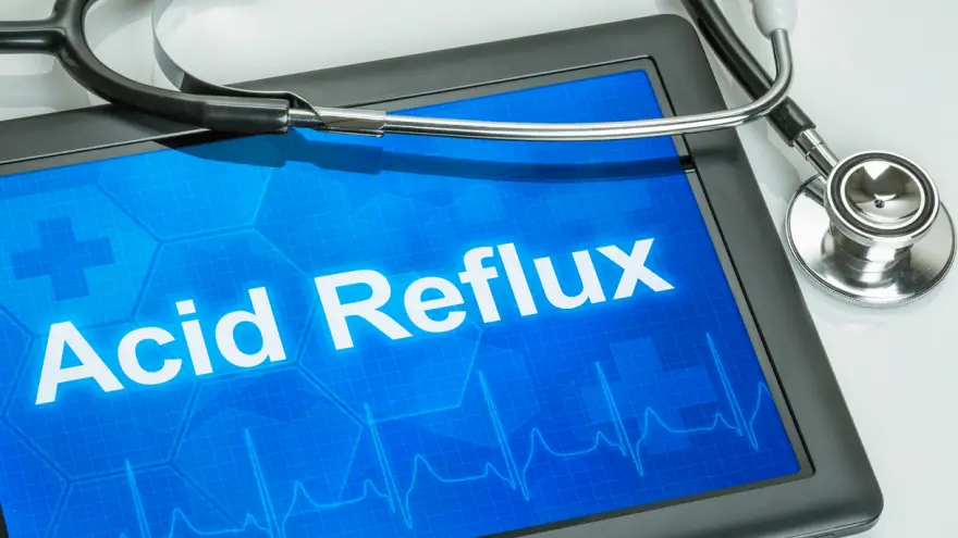 Acid Reflux in Dogs | Causes & Symptoms