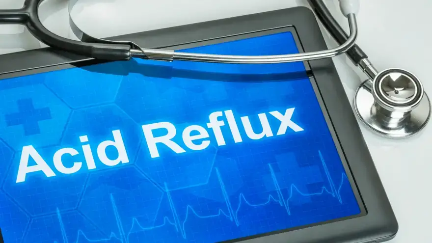 what causes acid reflux in dogs