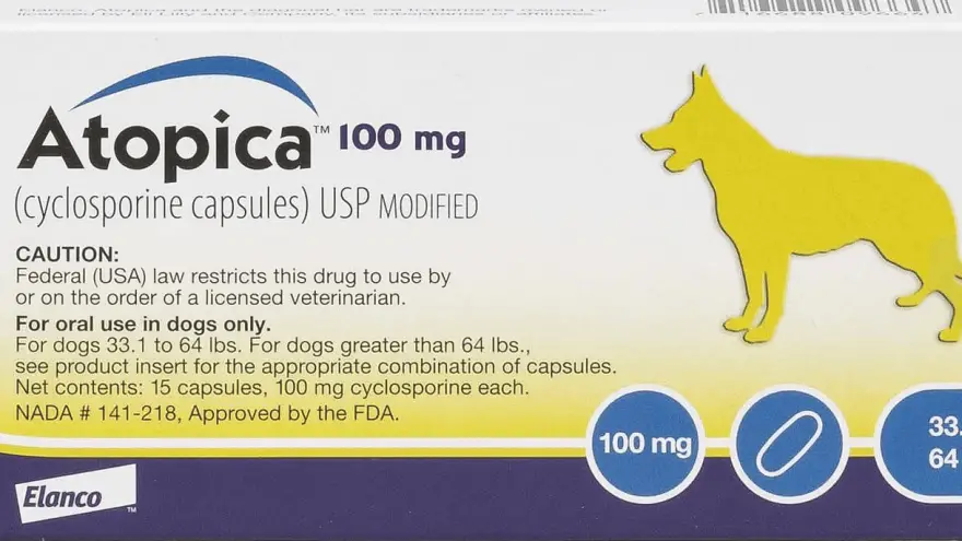 Atopica for Dogs: Usage & Side Effects