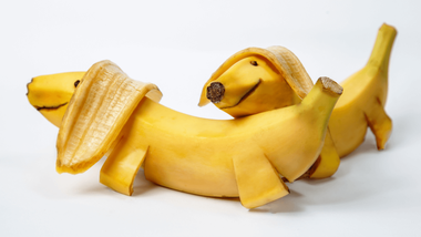 are bananas ok for dogs