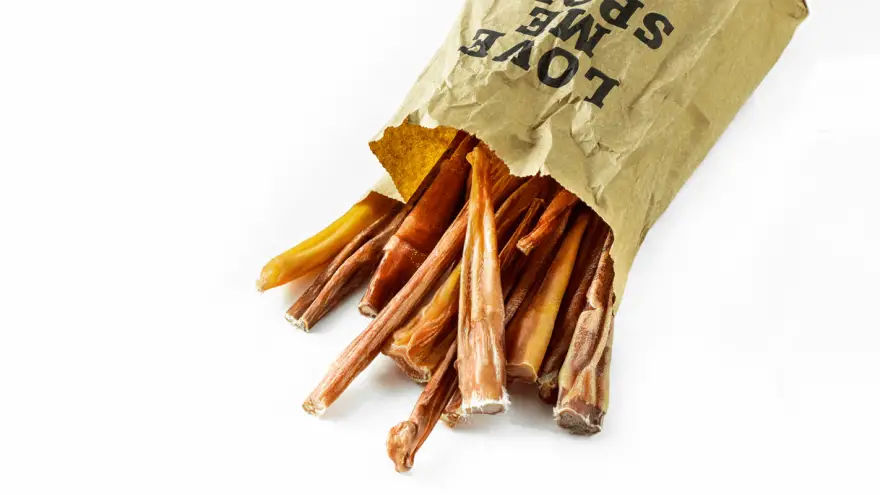 Bully Sticks for Dogs - Are They Safe