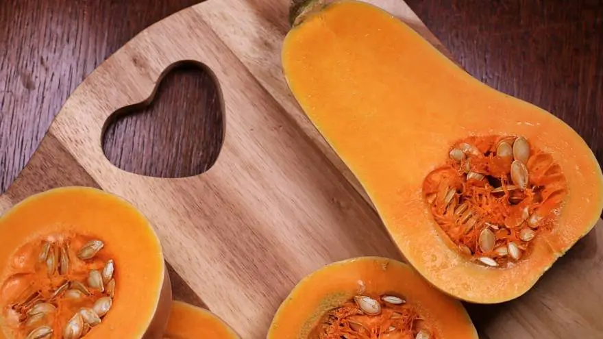 butternut squash for dogs