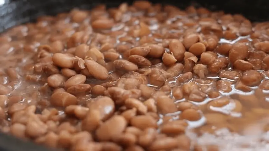 Can Dogs Safely Eat Pinto Beans? Here's How to Serve Them