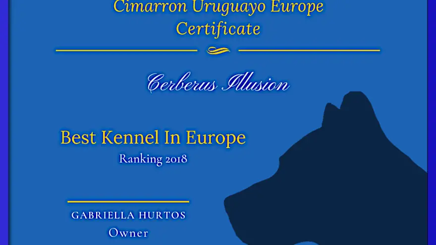 The story of Cerberus Illusion kennel