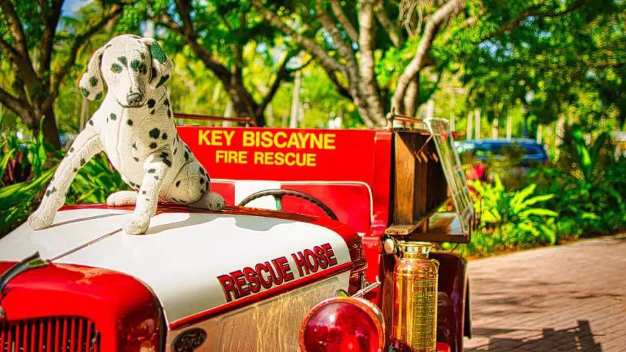 Zašto se dalmatineri zovu vatrogasni psi?