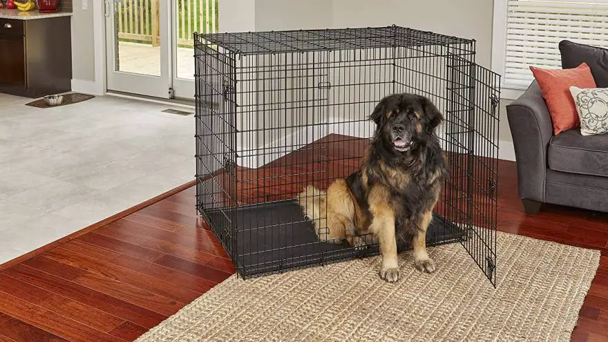 5 Best Dog Crates - 2023 Update