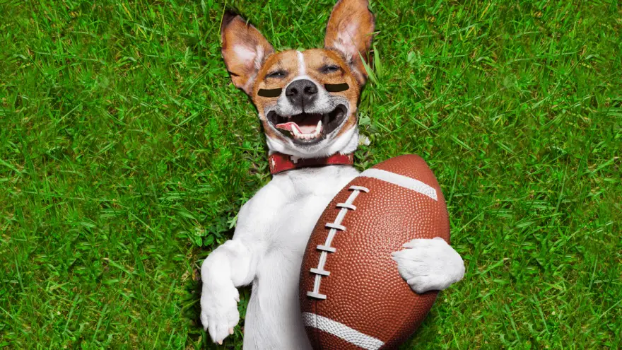 NFL Players With a Soft Spot for Dogs