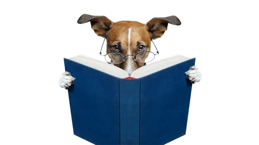 Best Dog Training Books for New Dog Owners