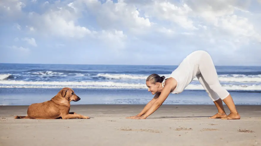 5 razloga zašto biste trebali isprobati dogu - joga sa psima