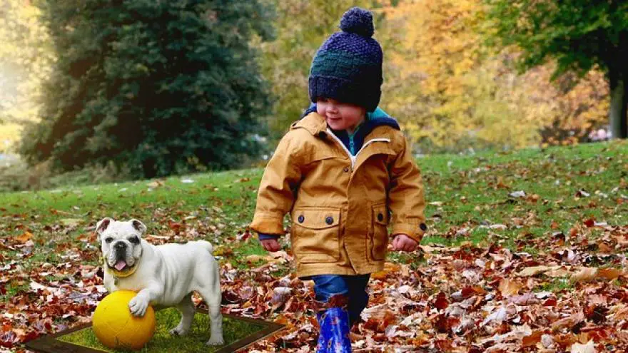 The 11 Best Dogs for Kids