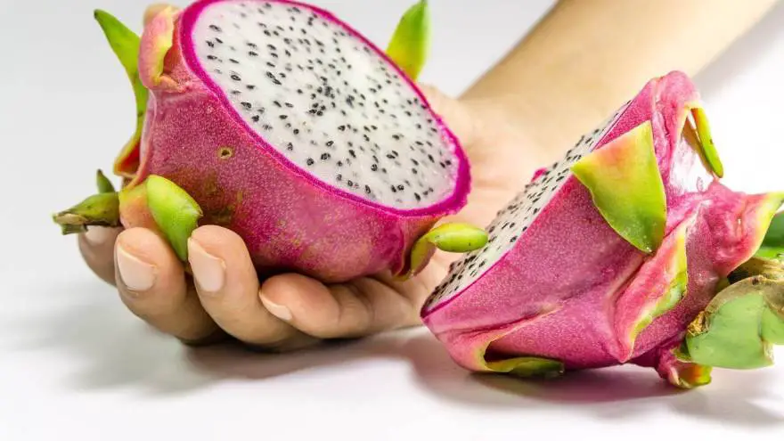 Can Dogs Eat Dragon Fruit? Is It OK To Share Some?