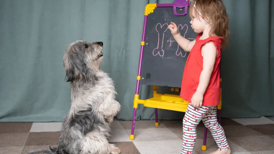 How to Teach a Dog to Sit [3 Easy Steps]