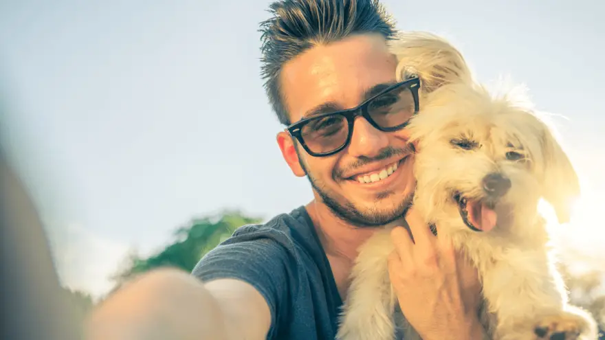 Hypoallergenic Dogs for Adoption | Tips