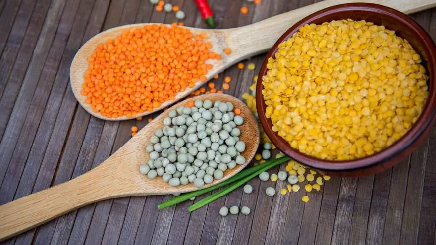Should You Give Lentils to Your Dog