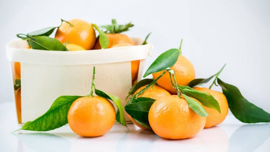 Can Dogs Eat Mandarins?