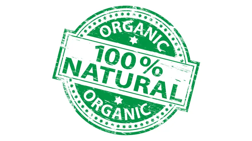The Best Organic Dog Food in 2022