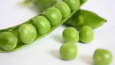 are canned peas bad for dogs