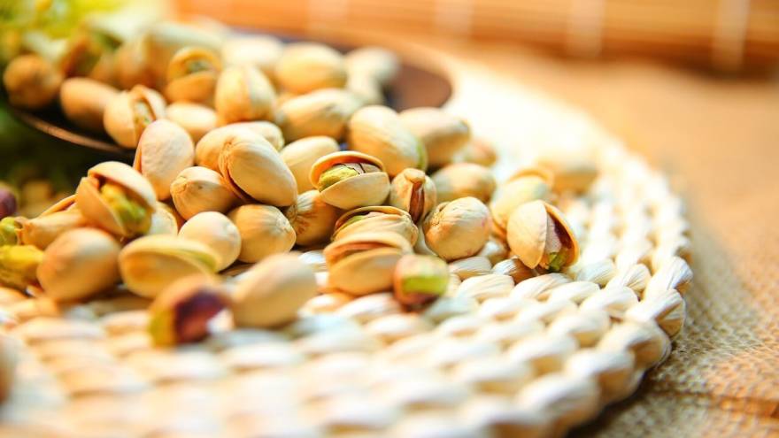 Can Dogs Eat Pistachios - Here is What Vets Might Tell You