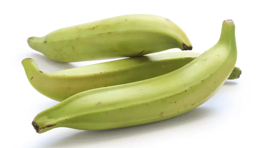 Are Plantains Good For Dogs?