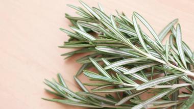 is rosemary bad for dogs