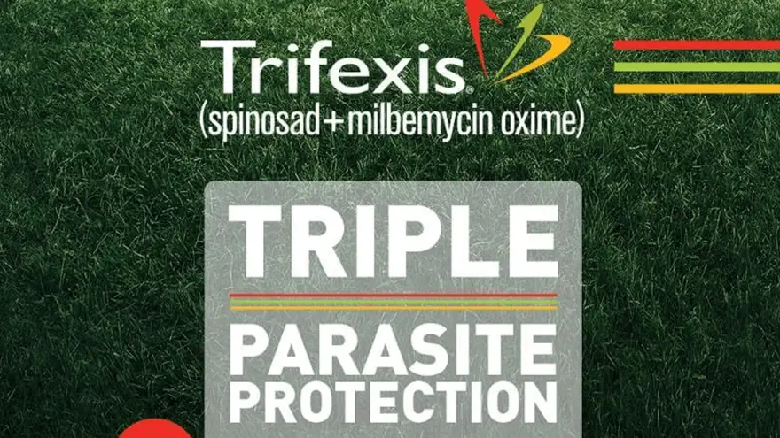 Should You Pick Trifexis Chewables