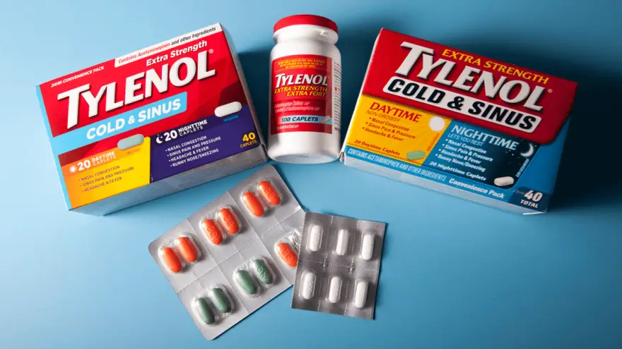 Can Dogs Take Tylenol for Pain