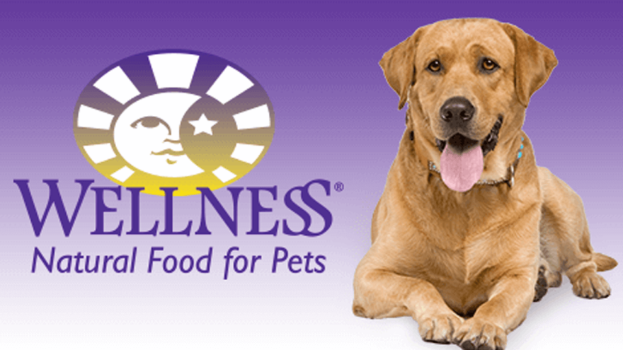 Owners Review - Wellness Dog Food