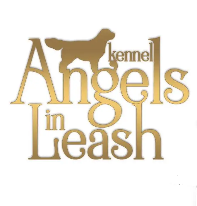 angels on a leash