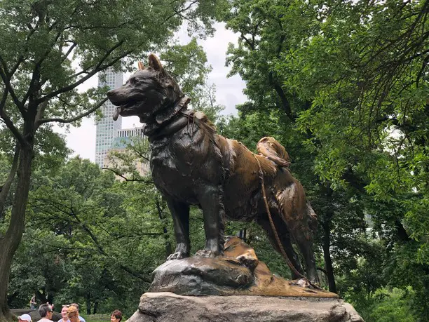 balto husky statue