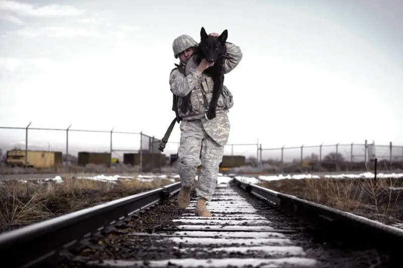 soldier carrying dog
