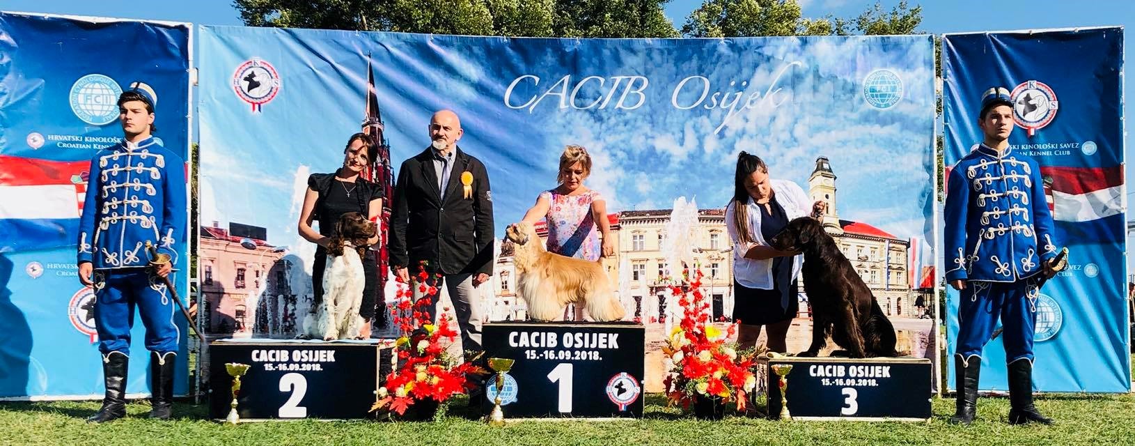 osijek dog show