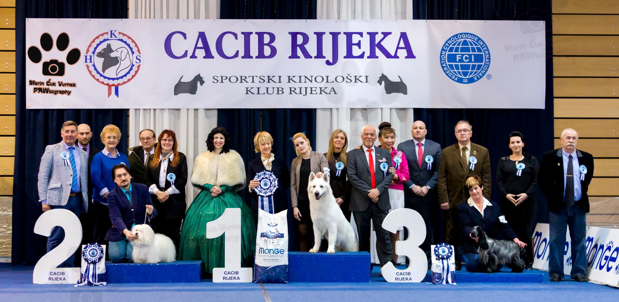 rijeka dog show