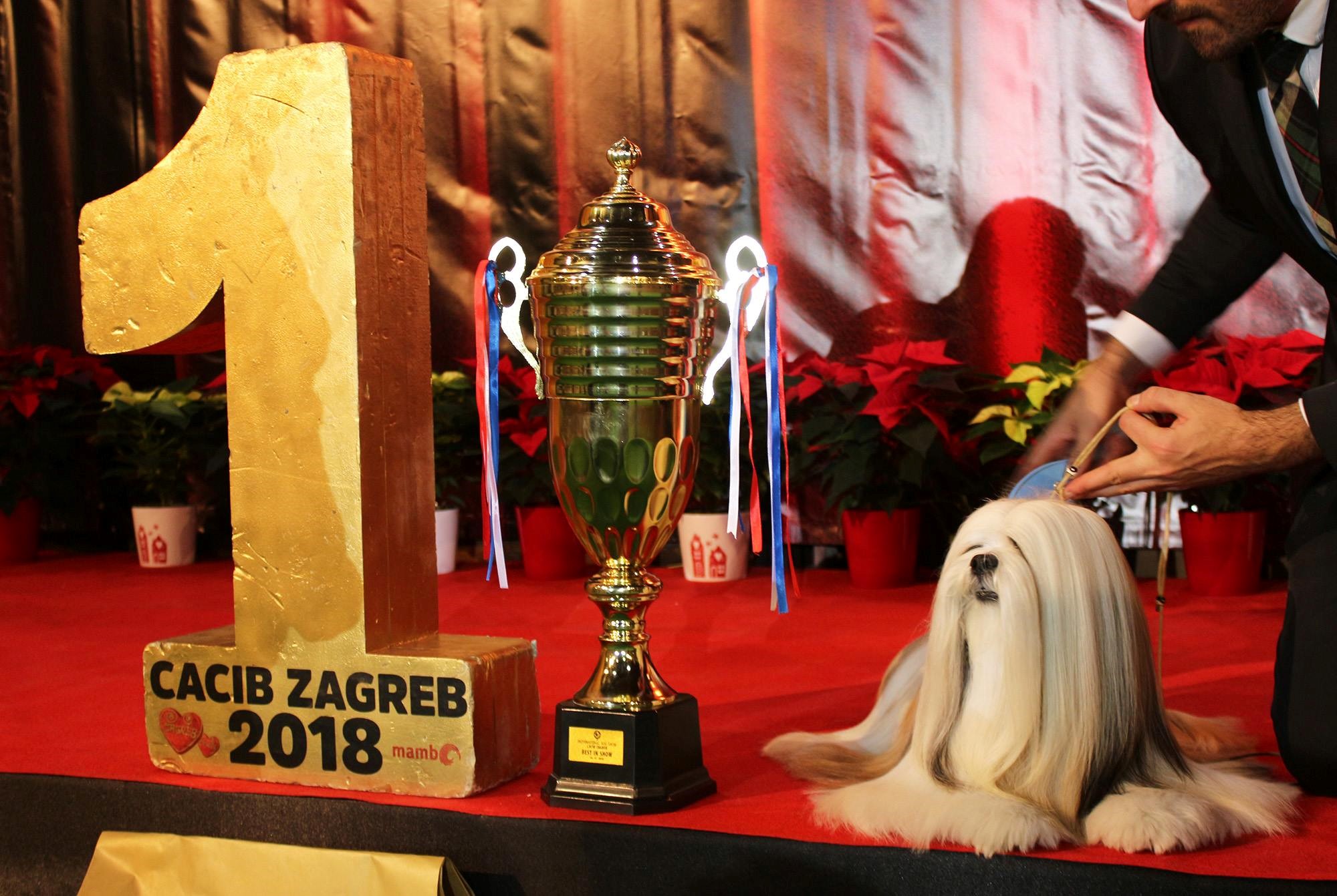 zagreb dog show