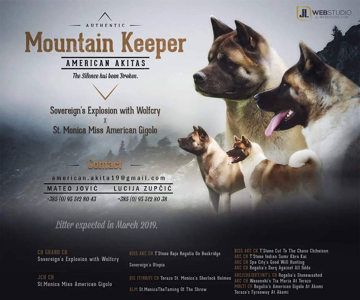 Mountain Keeper Dog Breeder
